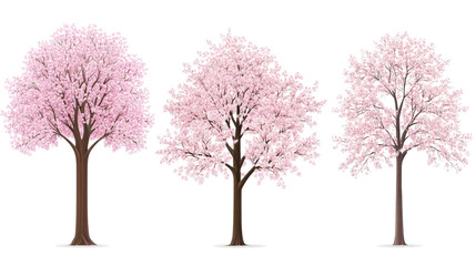 Fototapeta premium Blooming Pink Sakura Trees in a Serene Spring Setting Generative AI