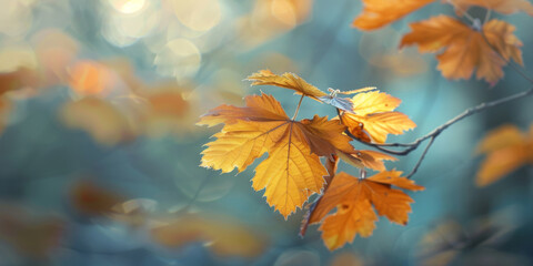 Tree leaves in autumn colors. Beautiful fall colors,  defocused image, bokeh background.