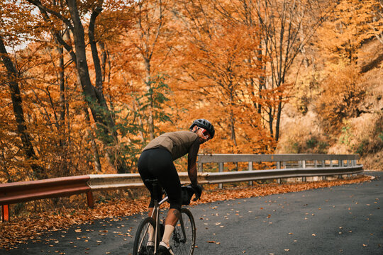 Cyclist rides through scenic autumn forest. Golden leaves and crisp air create a stunning backdrop for this active lifestyle image. Perfect for travel, sports, or health blogs. Romania. Carpathians