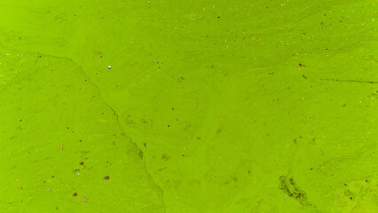 a lake covered with green algae