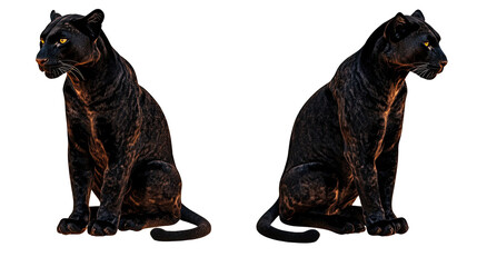 Obraz premium Isolated Black Panthers Collection on Transparent Background Generative AI