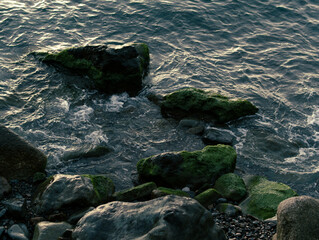 rocks in the water