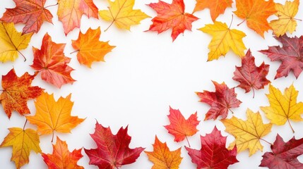 Explore the beauty of autumn leaves in vivid colors