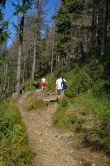 Tourists in the Beskid Mountains on their way to Barania Gora