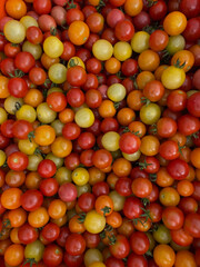 Farm fresh cherry tomatoes