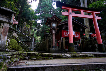 Inari Schrein Kyoto