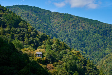 Obraz premium Kurama, Ohara, Takao