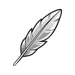 feather isolated on white background