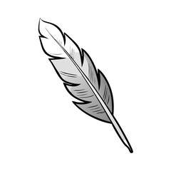 Obraz premium feather isolated on white background