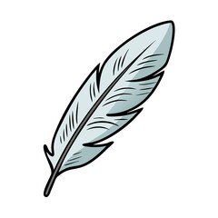 Fototapeta premium feather isolated on white background