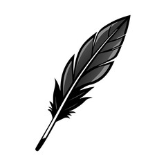 Obraz premium feather isolated on white background