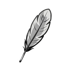 Obraz premium feather isolated on white background