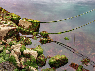 A serene coastal scene featuring rocks covered in green moss and algae, submerged in clear water. A rope is seen draped over the rocks, reflecting in the calm water.