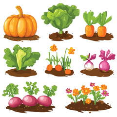Vibrant Cartoon Style Pumpkin and Carrot Vegetable Set on Ground