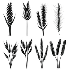 Cartoon Wheat Ears Silhouette Set for Creative Designs