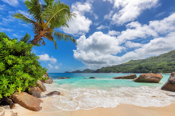 Tropical Sunny beach and coconut palms on Seychelles. Summer vacation and tropical beach concept.