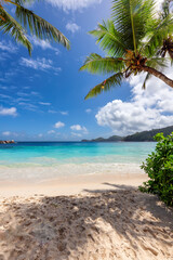 Tropical Sunny beach and coconut palms on Seychelles. Summer vacation and tropical beach concept.