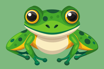 Stunning native frog of Australia with gorgeous green skin and big eyes 