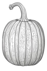 Coloring book illustration of a sweet orange pumpkin