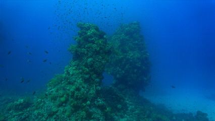 Underwater photo of huge coral reef pillars. From a scuba dive in the Red sea in Egypt.