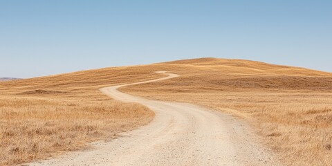 Curving dirt road through golden fields under a clear blue sky.