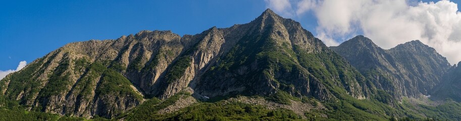 Panoramic shot of stunning mountain range with rugged peaks and lush greenery, blue sky with clouds, forest, alpine landscape. Tonale Pass, Italy. Summer vacation. Dolomite Alps. Ecology concept