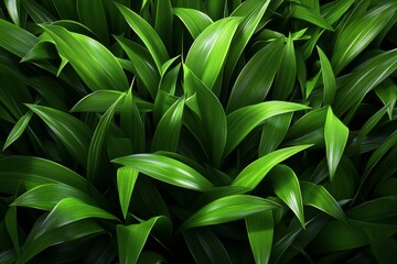 Digital 3D model of lush green grass, with soft shadows and a stylized, cartoon-like appearance