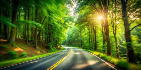 Serene Long Exposure of a Countryside Road on a Warm Summer Day Surrounded by Lush Green Forest and Sunlight Filtering Through the Leaves, Ideal for Nature Lovers and Tranquil Scenes