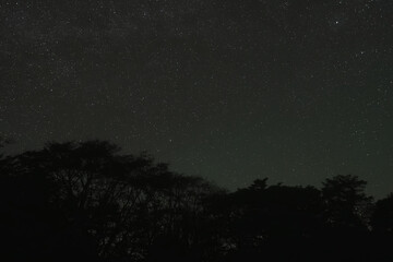 天狗高原の星空