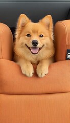 A Smiling Pomeranian Dog Peeking Over a Tan Leather Seat