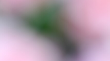 Pink Color Light gradient Background Design