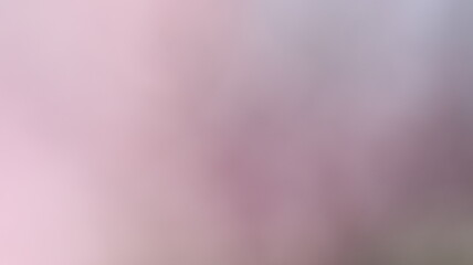 Pink Color Light gradient Background Design