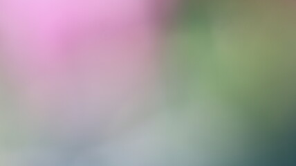 Pink Color Light gradient Background Design