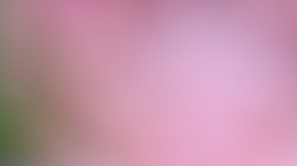 Pink Color Light gradient Background Design