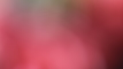 Light Gradient Color Background Design
