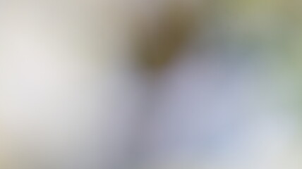 Light Gradient Color Background Design