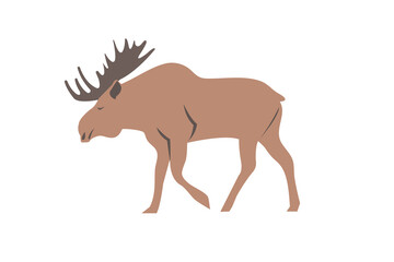 Illustration of moose isolated on white background. Moose animal vector illustration