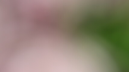 Light Gradient Color Background Design