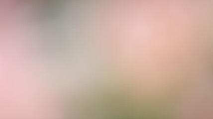 Light Gradient Color Background Design