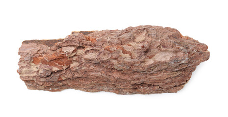 One piece of tree bark on white background, top view