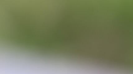 Light Gradient Color Background Design