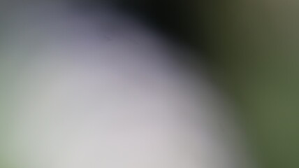 Light Gradient Color Background Design