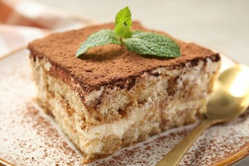 Piece of tasty tiramisu with fresh mint on table, closeup