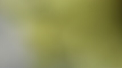 Light Gradient Color Background Design