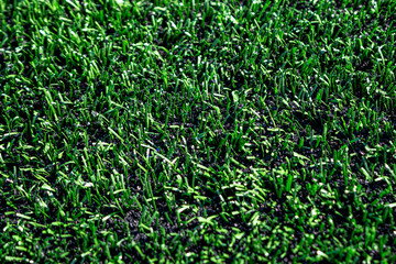 Close up of a green outdoor multi sport synthetic, artificial, turf, soccer, training field with crumb rubber.	
