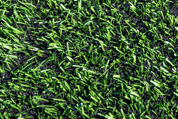 Close up of a green outdoor multi sport synthetic, artificial, turf, soccer, training field with...