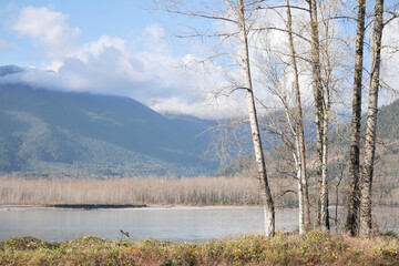 Island 22 Regional Park along Fraser River during a fall season in Chilliwack, British Columbia, Canada.