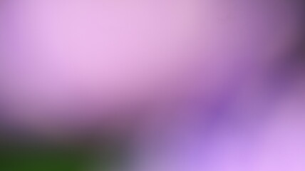 Fototapeta premium Subtle Gradient Blend Background Design