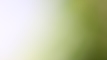 Subtle Gradient Blend Background Design