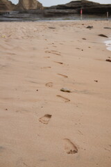 A trail of footprints stretches along the sandy beach